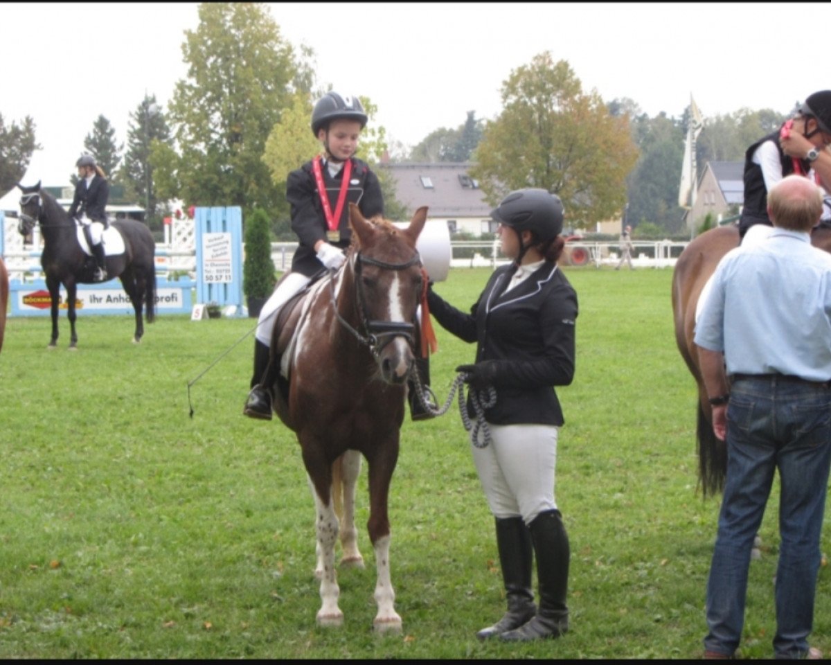 Pferd Susi (Deutsches Reitpony, 1997, von Troll)