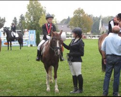 horse Susi (German Riding Pony, 1997, from Troll)