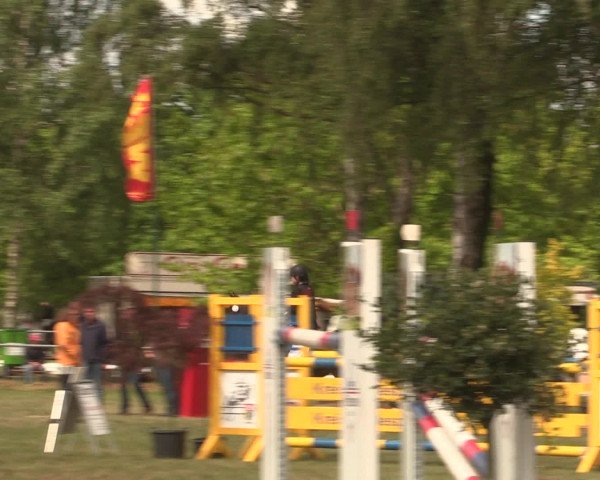Reitturnier Kreuzkrug 2016