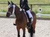 dressage horse Carlos L 5 (Hanoverian, 2012, from Conen)