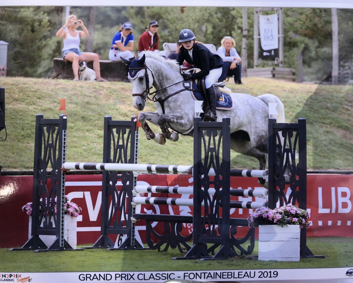 broodmare Hetocinthe VDL (KWPN (Royal Dutch Sporthorse), 2012, from Corland)