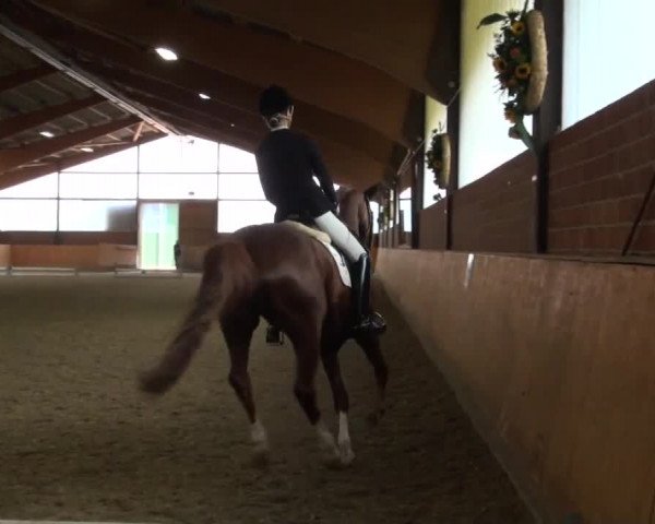 Reitturnier Iserlohn-Kalthof 2016