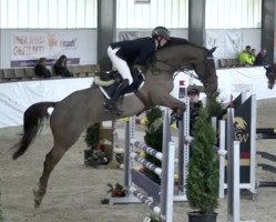 jumper Call Me Best Boy (Deutsches Sportpferd, 2014, from Canabis Z)