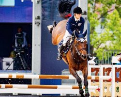 Springpferd Inca Boy van T Vianahof (Belgisches Warmblut, 2008, von Diamant de Semilly)