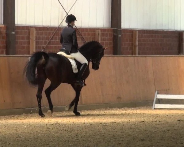 Reitturnier Iserlohn-Kalthof 2016