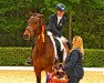 dressage horse Monte Christo (Hanoverian, 2015, from E.H. Millennium)