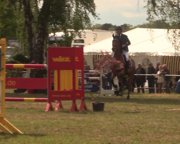 Reitturnier Kreuzkrug 2016