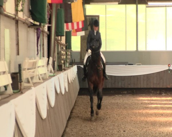 Reitturnier Bochum-Nord 2016