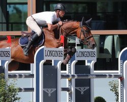 jumper Ginette vd Kempenhoeve (Belgium Sporthorse, 2012, from Nonstop)