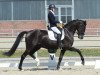 dressage horse Serafino 38 (Oldenburg, 2015, from Sezuan)