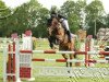 jumper Chocolat 25 (Oldenburg show jumper, 2004, from Cafe au lait 2)