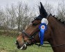 dressage horse Lennon 39 (Hanoverian, 2008, from Ludwig von Bayern 168 FIN)