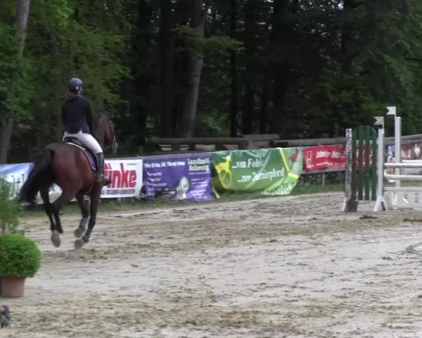 Reitturnier Iserlohn-Kalthof 2016