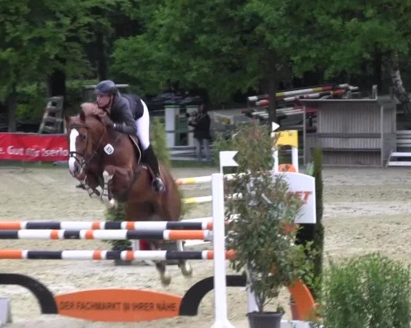 Reitturnier Iserlohn-Kalthof 2016