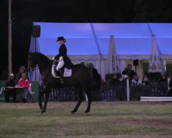 Reitturnier Borken 2016