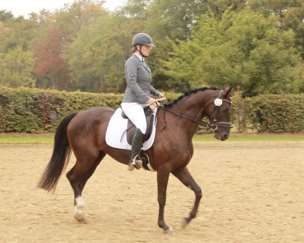 dressage horse Davina 183 (Hanoverian, 2015, from Danone 4)