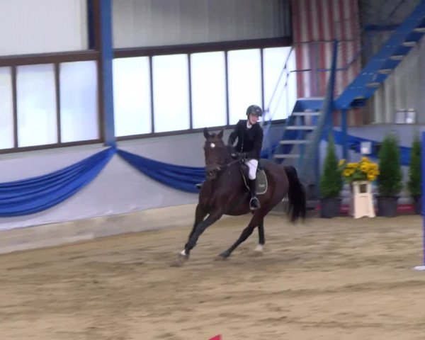 Reitturnier Buchs 2021