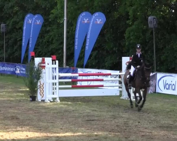 Reitturnier Borken 2016