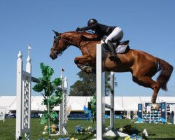 Springpferd Showtym Cadet MVNZ (Neuseeländisches Warmblut, 2005, von VDL Orame)