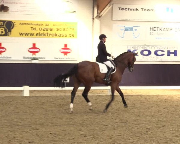 Reitturnier Borken 2016
