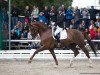 dressage horse Flaconi W (Oldenburg, 2014, from Foundation 2)