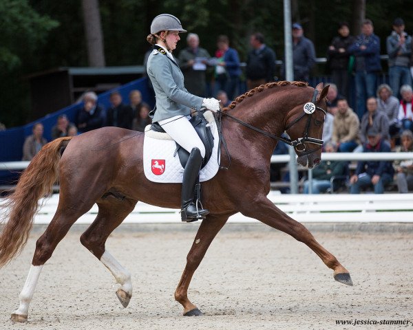 stallion Vidar (Hanoverian, 2014, from Viscount 22)