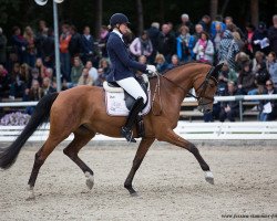 dressage horse Soulmate 24 (Westphalian, 2014, from Sir Heinrich OLD)