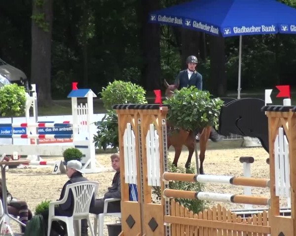 Reitturnier Mönchengladbach-Wickrath 2016