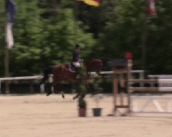 Reitturnier Bochum-Nord 2016