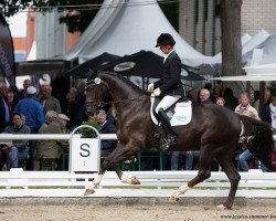 dressage horse Quintessential 3 (Hanoverian, 2014, from Quantensprung 3)