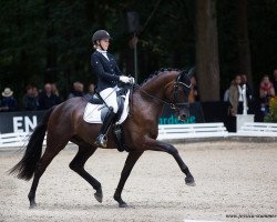 dressage horse Maximus 118 (Oldenburg, 2014, from E.H. Millennium)