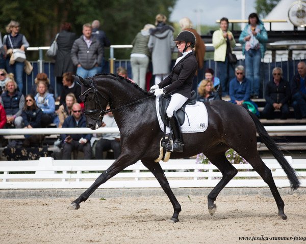 dressage horse Galina (Oldenburg, 2014, from Grey Flanell)