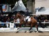 dressage horse Franco Battiato (Oldenburg, 2014, from For Romance I)