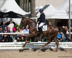 stallion FBW Final Result (German Sport Horse, 2014, from Franziskus FRH)