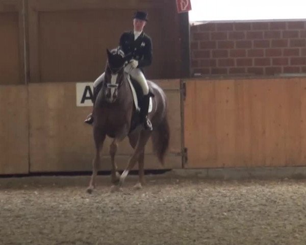 Reitturnier Iserlohn-Kalthof 2016