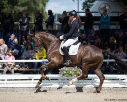 dressage horse Nuit D'or 3 (Hanoverian, 2014, from Negro)