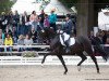 dressage horse Francis (Hanoverian, 2014, from Franziskus FRH)