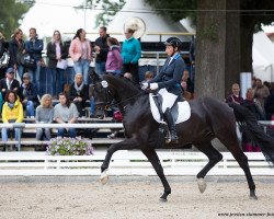 dressage horse Francis (Hanoverian, 2014, from Franziskus FRH)