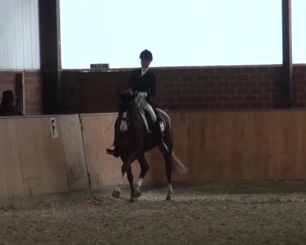 Reitturnier Iserlohn-Kalthof 2016