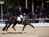 dressage horse Dakito 6 (Hanoverian, 2014, from Dancier)