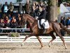 dressage horse Beau Monde (Oldenburg, 2014, from Bordeaux 28)