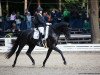 dressage horse Barcelona 64 (Hanoverian, 2014, from Beltano)