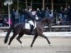 dressage horse DaVinci G (Westphalian, 2014, from Don Juan de Hus)