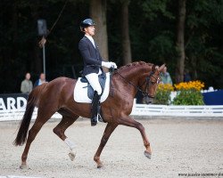 dressage horse Finesse Decoeur (Hanoverian, 2014, from Tannenhof's Fahrenheit)