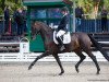 dressage horse Free in Motion (Oldenburg, 2014, from Fürst Larino)