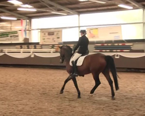 Reitturnier Bochum-Nord 2016