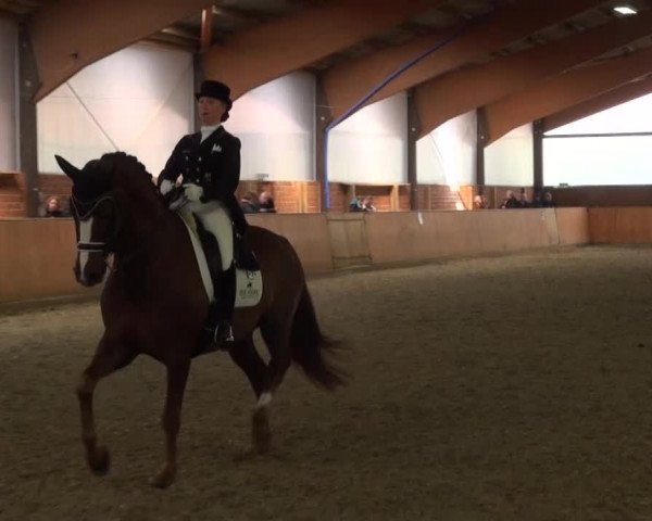 Reitturnier Iserlohn-Kalthof 2016