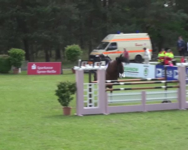 Reitturnier Cottbus-Sielow 2016