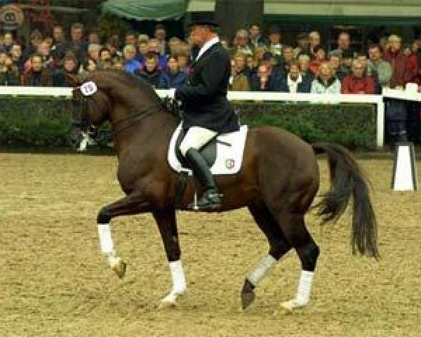 Pferd Fidermark I (Westfale, 1992, von Florestan I)