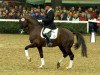 horse Fidermark I (Westphalian, 1992, from Florestan I)